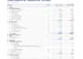 prepare financial statements , reporting